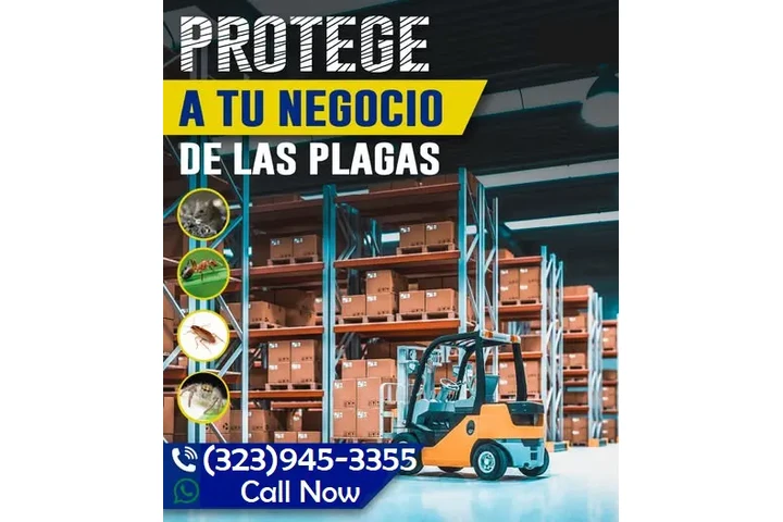 PEST CONTROL SERVICES image 4