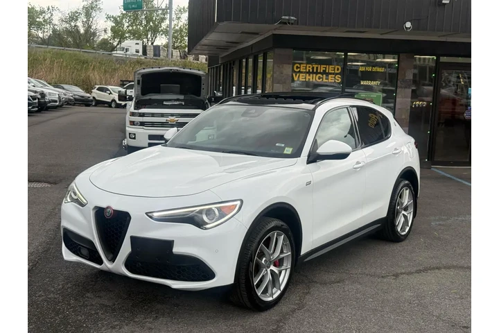 $16998 : 2019 Alfa Romeo Stelvio image 2