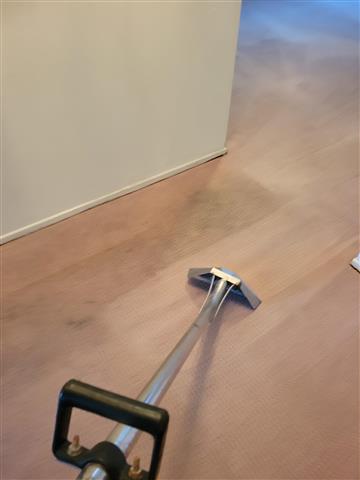 🧼 Arizmendi's Carpet Cleaning image 1