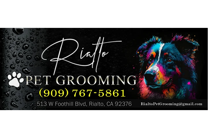 $95 : Rialto Pet Grooming image 1