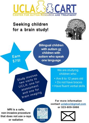 UCLA Bilingualism Brain Study image 1