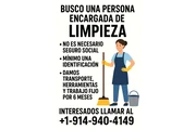 Necesito para limpiar