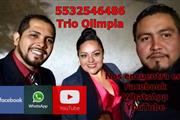 trio musical en ecatepec en Ecatepec de Morelos
