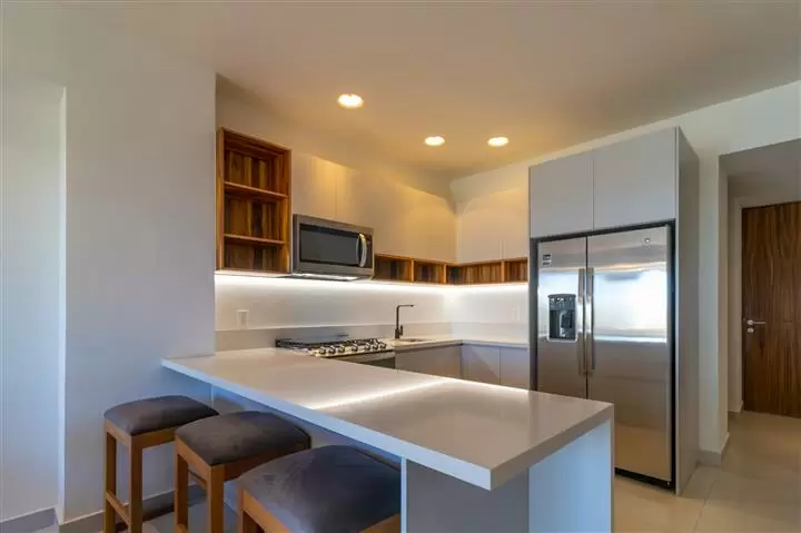 $390000 : Condominio en Puerto Vallarta image 2