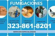 FUMIGACIONES ECONOMICOS