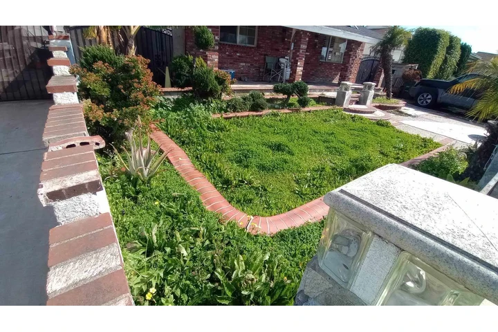 Grasscut weeds shrubs 🏡📲🌴 image 7