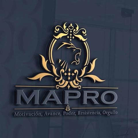 MAPRO GRUOP image 1