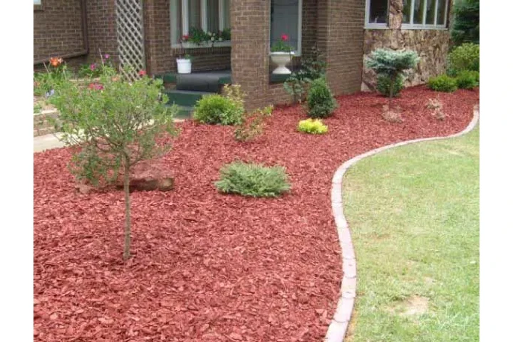 SERVICIOS DE JARDINERIA image 1