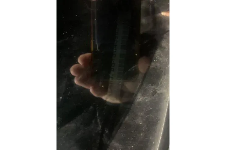 $14363 : Jeep Grand Cherokee 2016 4x4 image 3