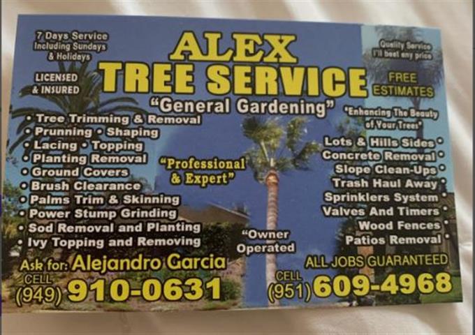 Alex Tree Services image 1
