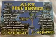 Alex Tree Services en Riverside