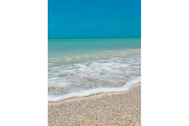 Invest in beachfront lots! image 9