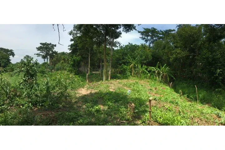 $990000000 : Venta de Terreno en Cartagena image 4