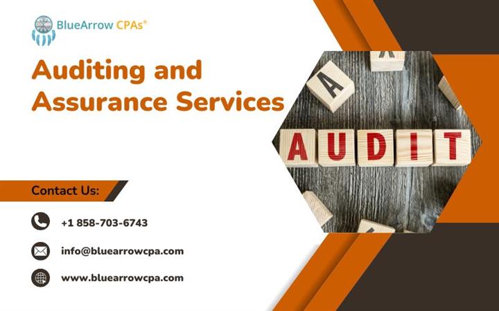 Auditing and Assurance Service image 1