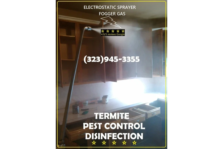 PEST CONTROL MAYWOOD ALL AREAS image 1