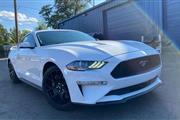 2019 Mustang EcoBoost Premium en Denver