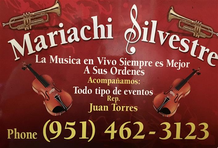 MARIACHI A SUS ORDENES image 5