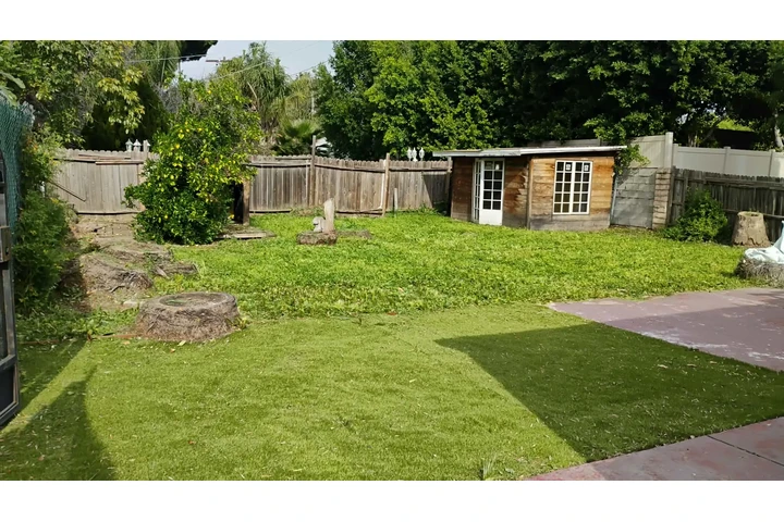 Corte de pasto 🏡$35 image 6