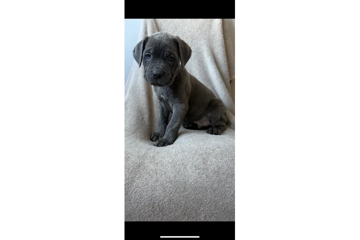 $340 : 2 gorgeous girls left image 1