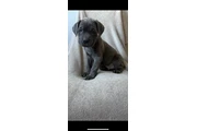 2 gorgeous girls left en Orange County