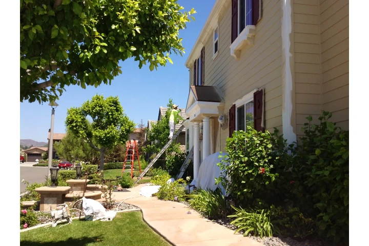 Pintor de casas 🏠 image 10