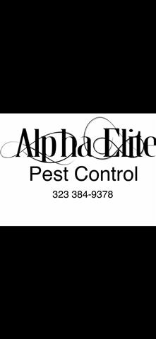 Alpha Elite Pest Control image 1