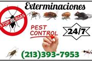 24/7 FUMIGADORES 2021 TERMITE en Orange County