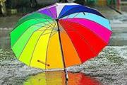 Custom Umbrellas Wholesale en New York