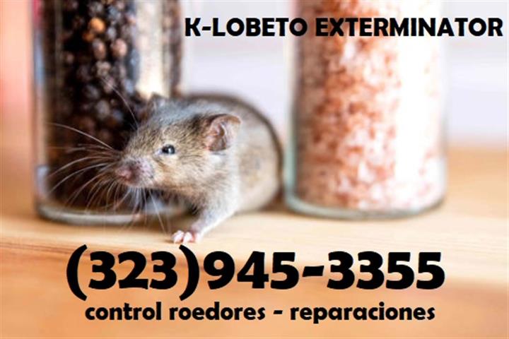 24/7 PEST CONTROL 323-945-3355 image 5