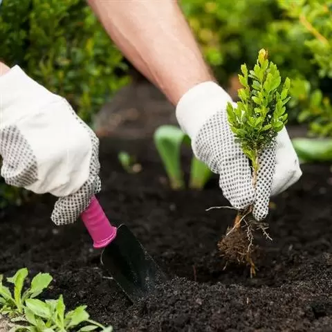 ORANGE COUNTY GARDENING image 4