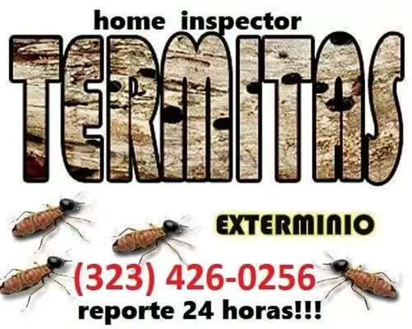 $99 : FUMIGACION TERMITAS-INSPECCION image 1