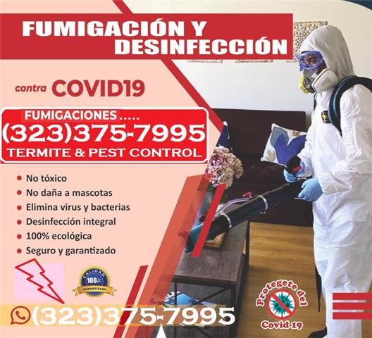 FUMIGADORES PROFESIONALES 24/7 image 7