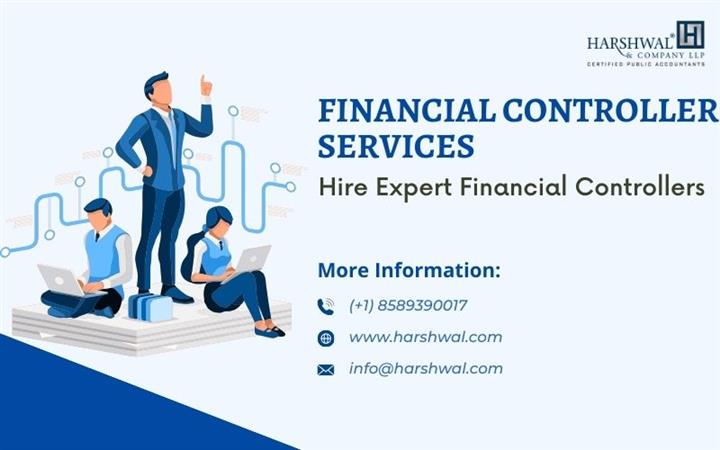 Financial controller services image 1