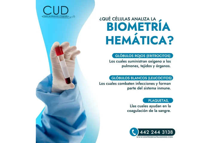 ¡Estudios de laboratorio! image 1