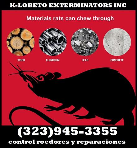 RODENTS CONTROL - REPAIRS 24/7 image 1