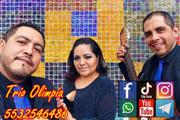 trio musical Molino de Rosas en Mexico DF
