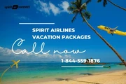 Affordable Vacation Packages w en New York