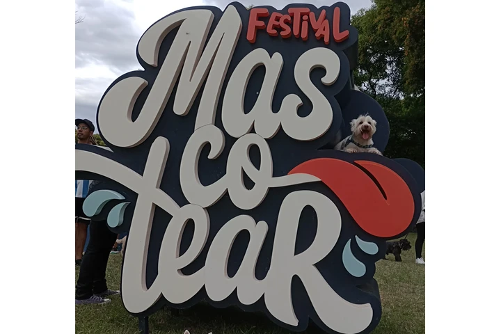 $25000 : Timilines AdiestramientoCanino image 6