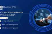 IT Audit & Information System