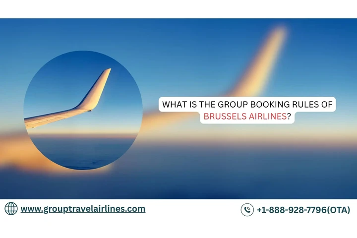Brussels Airlines Group Travel image 1