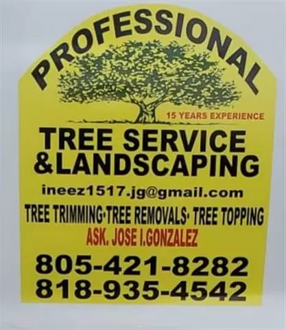 Tree Services and Landscaping image 3