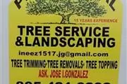 Tree Services and Landscaping thumbnail 3