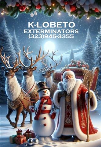 FUMIGATION CHRISTMAS 🤶 2024 image 3