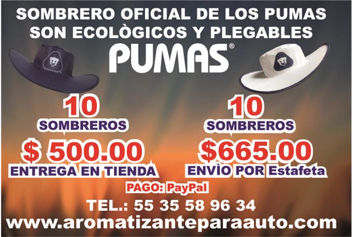 $300 : PARA LOS PUMAS UNAM SOMBREROS image 4