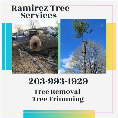 Tree Services image 1