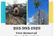 Tree Services en Fairfield