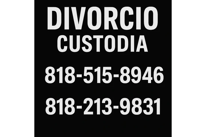 Divorcio y Custodia image 3