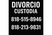 Divorcio y Custodia thumbnail
