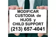 MODIFICAR MANUTENCIÓN DE HIJOS