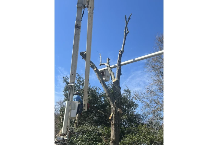 Solution Tree Services LLC image 4